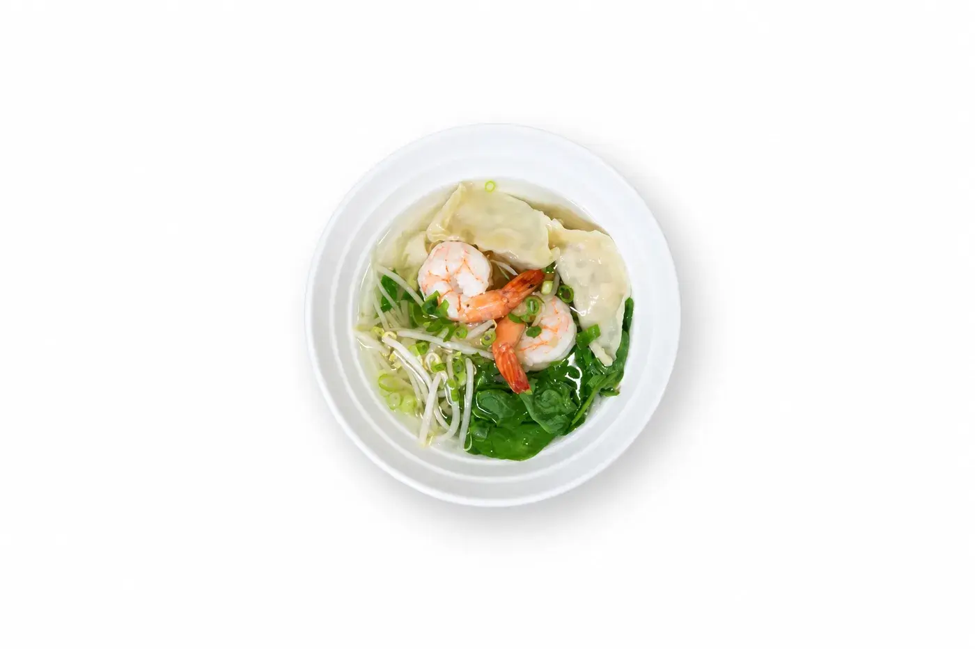 Wonton Soup